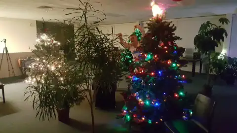 Festive lighting and holiday trees being arranged in an event space